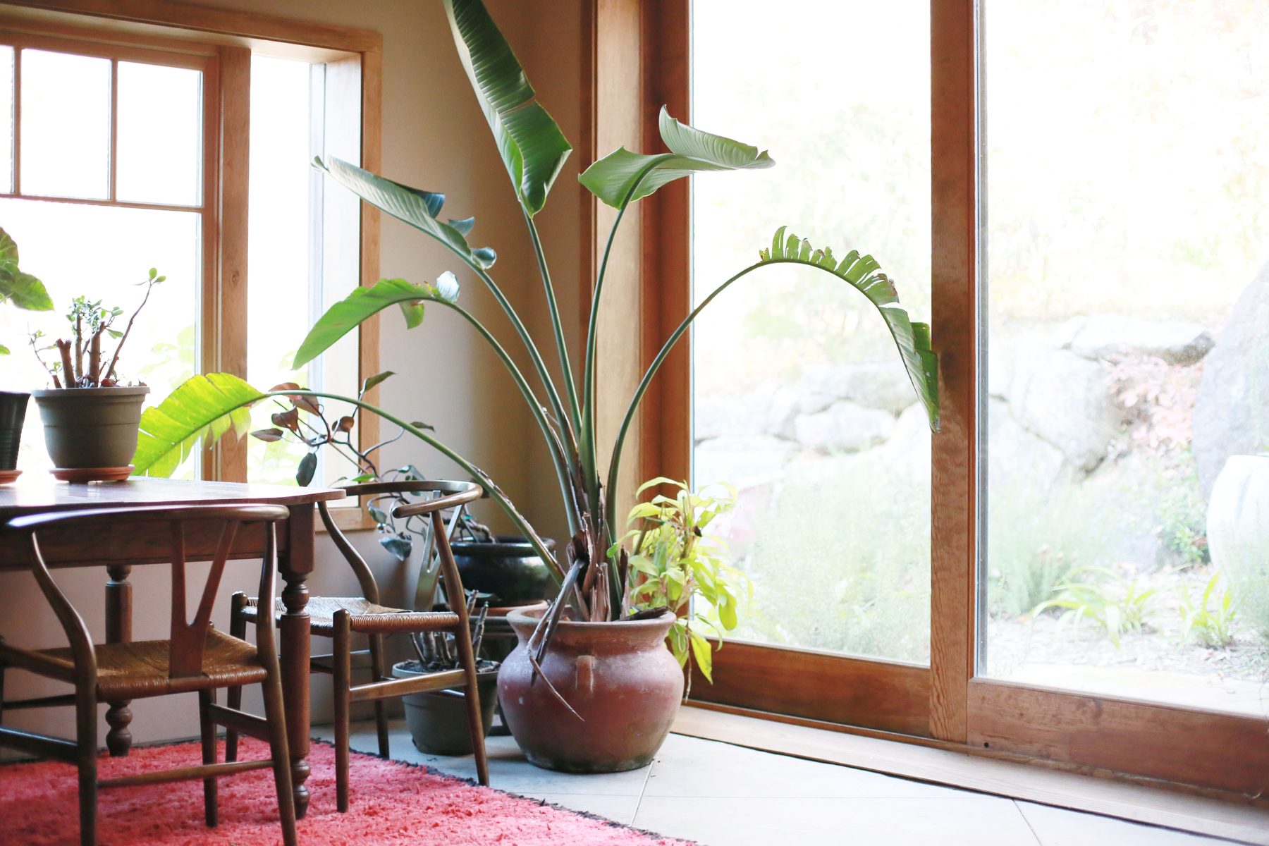 Custom home sunroom